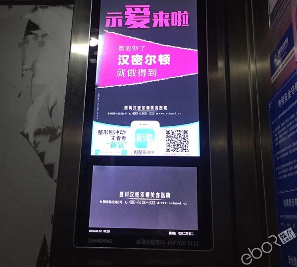 漢密爾頓示愛來了