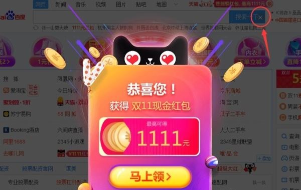 雙十一彈窗廣告案例